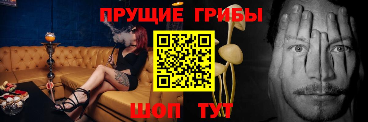 Чистополь  Псилоцибиновые грибы MAGIC MUSHROOMS  Галлюциногенные грибы мухоморы  Вход с VPN 